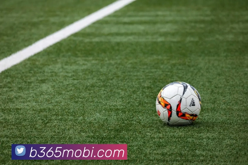 Bet365体育服务体系